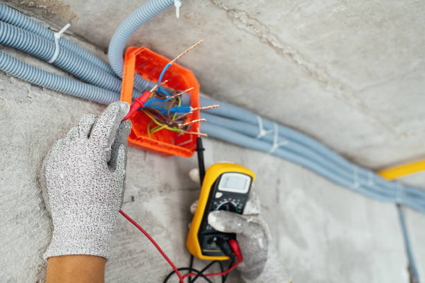 Best Local Electrician Companies  in Pineland, TX